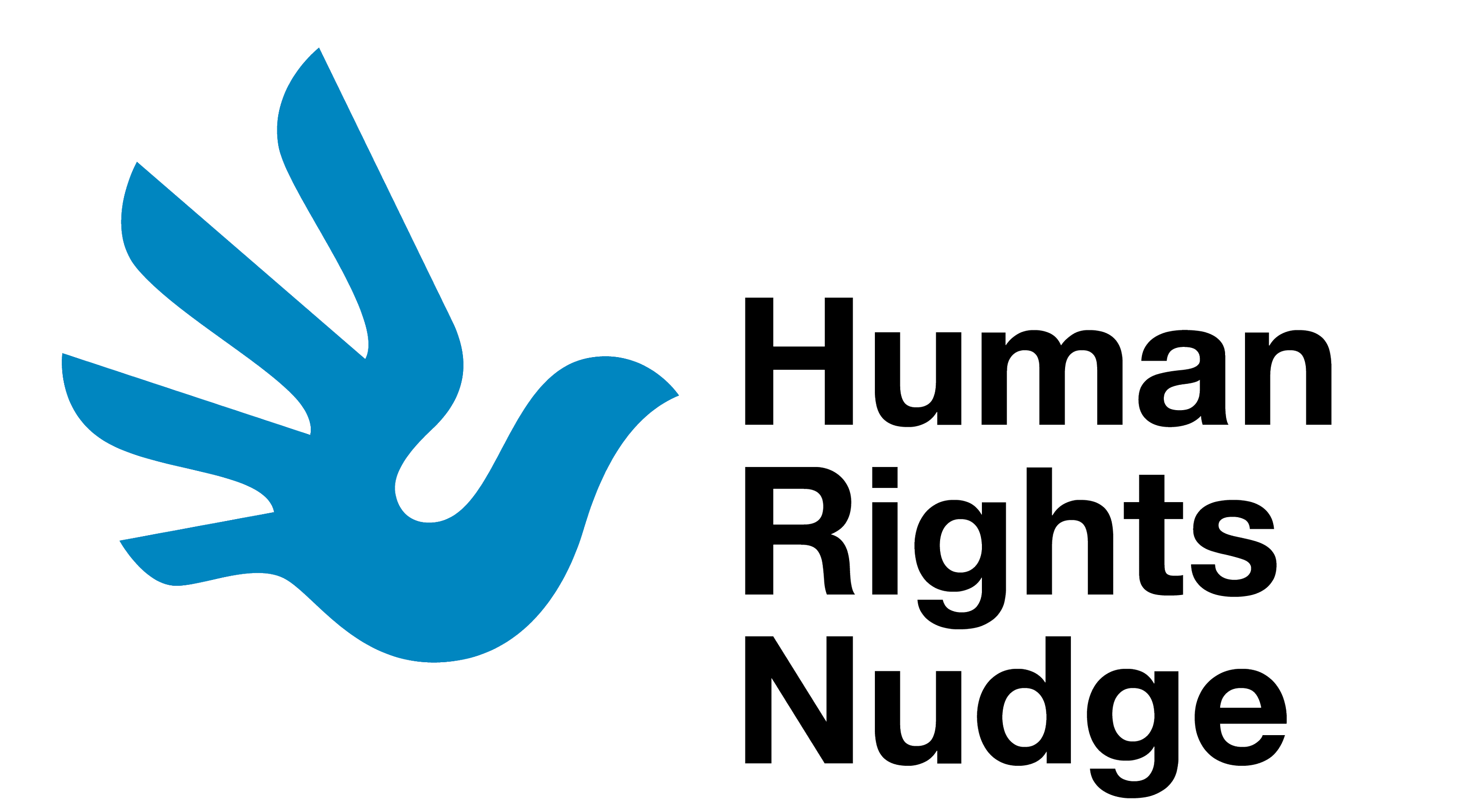 Human Rights Nudge Lab logo